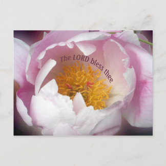 Der Herr segne dich Postkarte