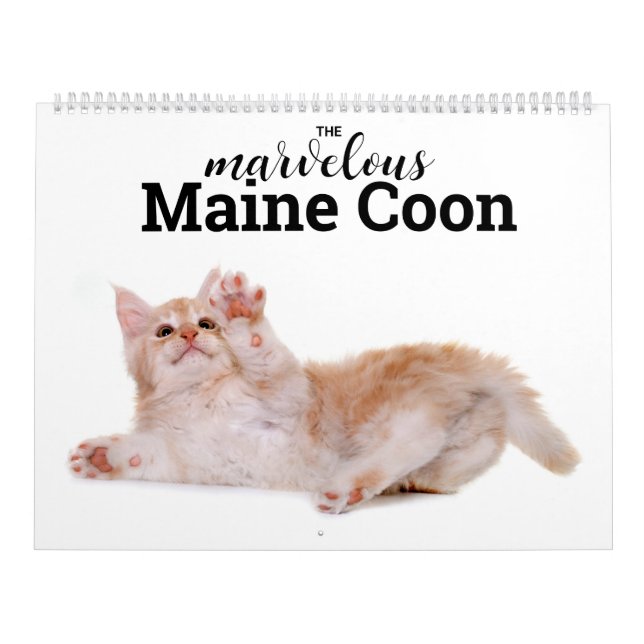 Der herrliche Maine Coon Calender Kalender (Titelbild)