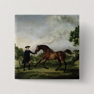 Der Herzog von Ancasters Bucht Stallion "freier Button