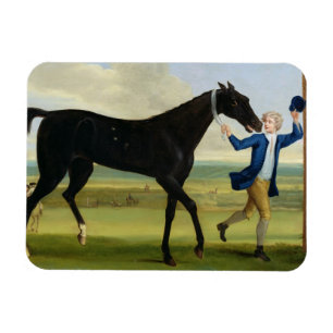 Der Herzog von Rutlands "kerngesundem Schwarzem", Magnet