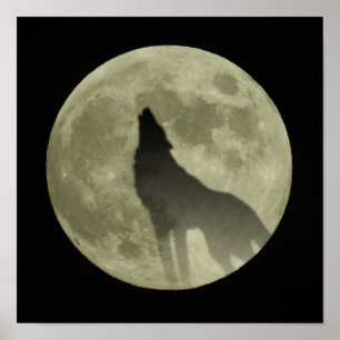 Der heulende Wolf Poster