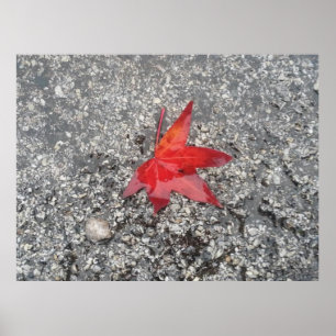 Der Hintergrund der roten Blätter im Büro wird ver Poster