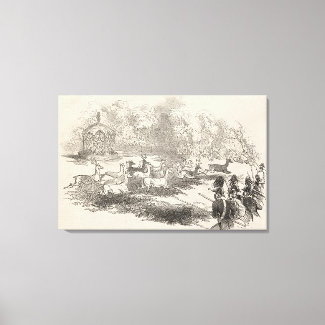 Der Hirschschock bei Gotha Leinwanddruck (Vorderseite)