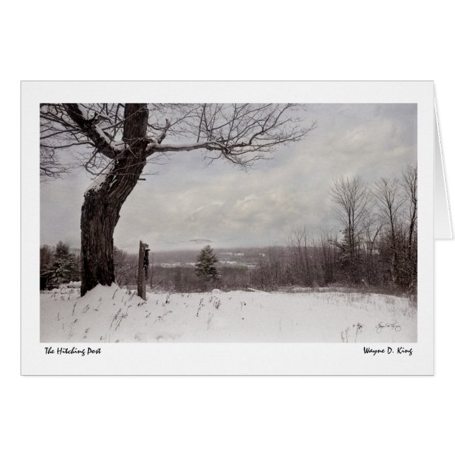 Der Hitching-Post (Vorderseite (Horizontal))