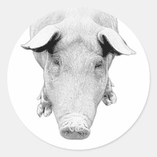 Der Hog in Schwarz und Weiß Runder Aufkleber