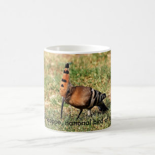 Der Hoopoe, nationaler Vogel von Israel, Kaffeetasse