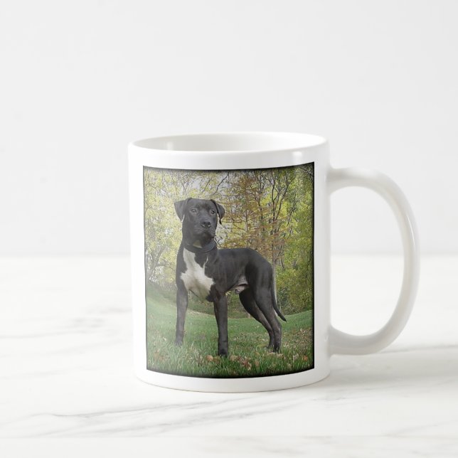 Der Hudson - i-Liebe mein Gruben-Stier-Terrier! Kaffeetasse (Rechts)