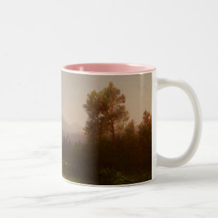 Der Hudson-Landschaft, c.1860-5 (Öl auf Leinwand) Zweifarbige Tasse