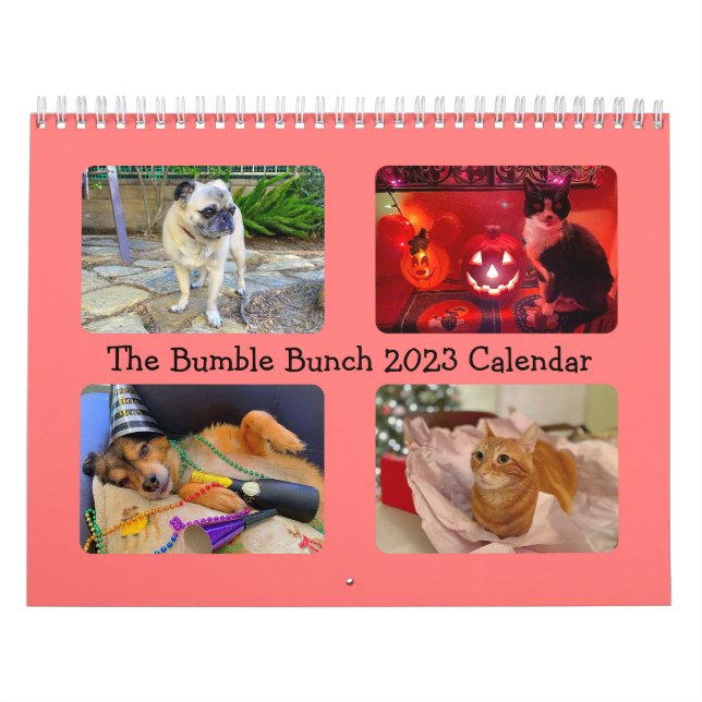 Der Hummel-Bunch 2023-Kalender Kalender (Titelbild)