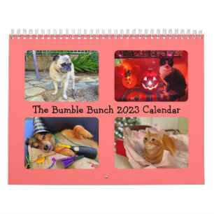 Der Hummel-Bunch 2023-Kalender Kalender
