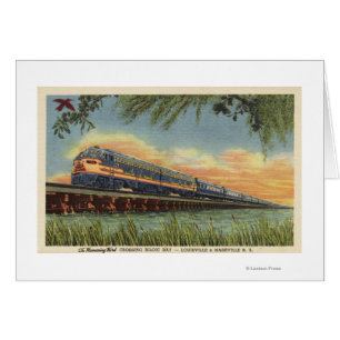 Der Humming-Vogelzug