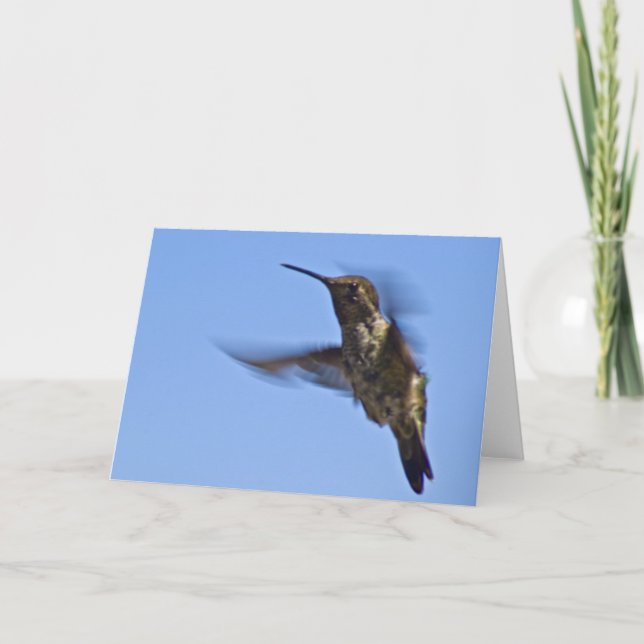 Der Hummingvogelflug Karte (Vorderseite)