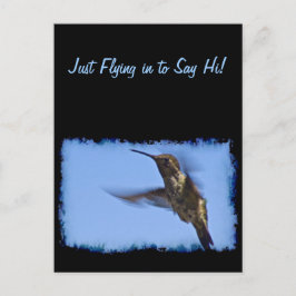 Der Hummingvogelflug Postkarte