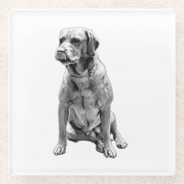 Der Hund, der nie Verlasst Glasuntersetzer (Vorderseite)