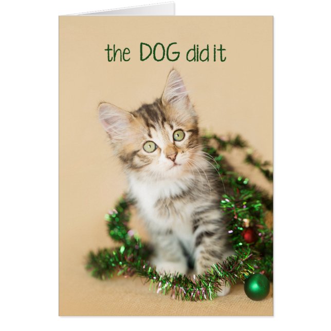 Der Hund hat es Kitten gemacht (Vorne)