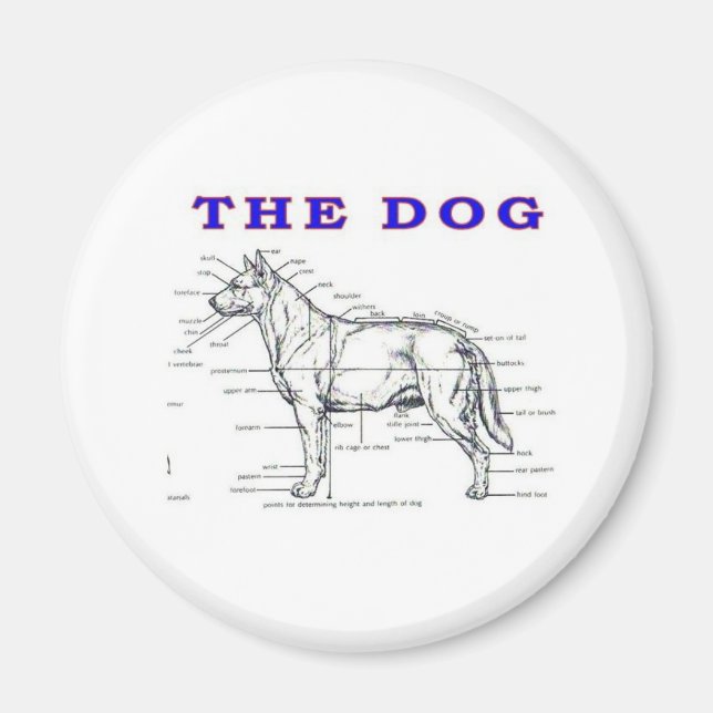 DER HUND MAGNET (Vorne)