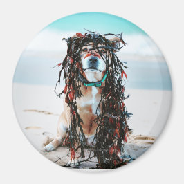Der Hund mit Algen im Haar. Staffy am Strand Magnet