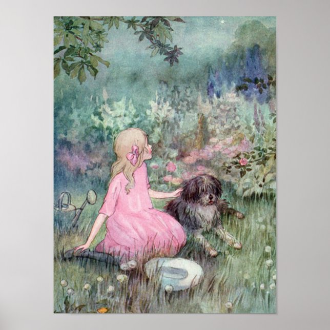 Der Hundestern am Himmel Poster (Vorne)