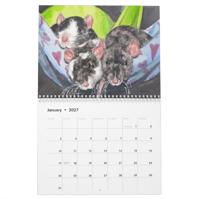 Der illustrierte Kalender der Ratten-2013 (Jan 2027)