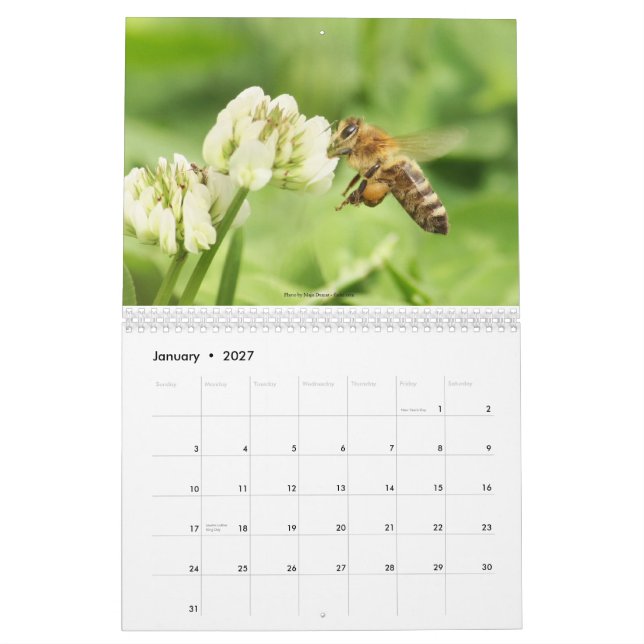 Der Imker-Kalender 2013 Kalender (Jan 2027)