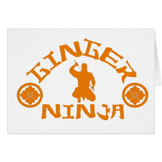 Der Ingwer Ninja (Vorderseite (Horizontal))