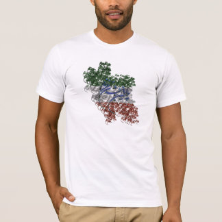 DER IRAN-FLAGGE T-Shirt