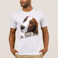 Der irische Setter
