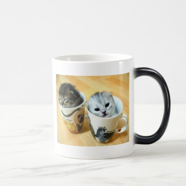 Der ist nicht Kaffee herein dort Verwandlungstasse (Rechts)