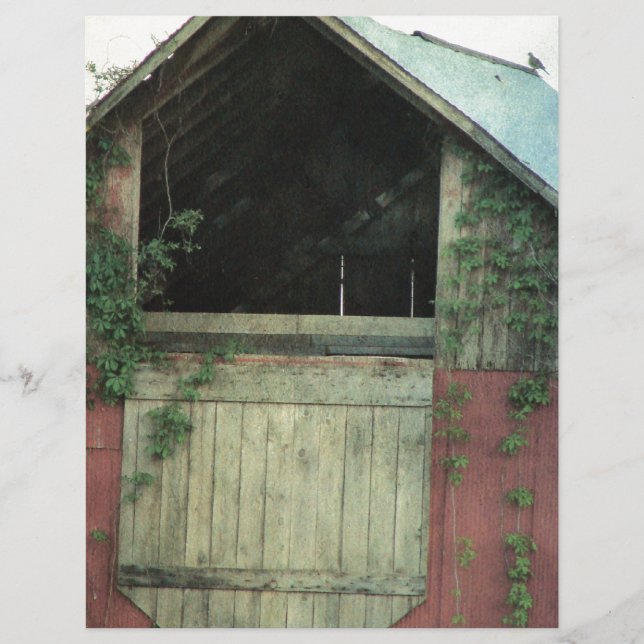 Der ivy Barn (Vorderseite)