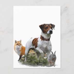 Der Jack Russell Terrier , Art Postkarte