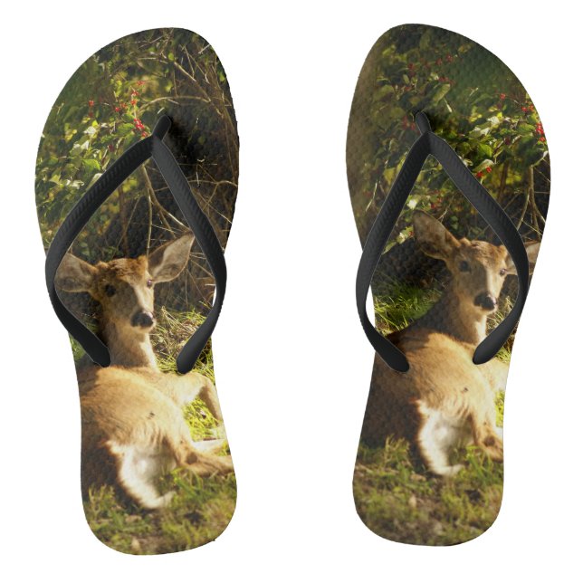 Der junge Buck auf der Wiese Flip Flops (Fußbett)