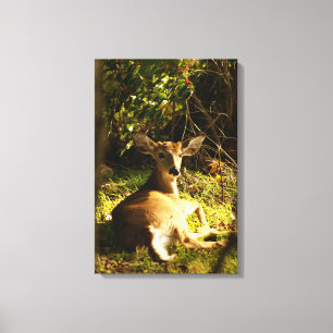 Der junge Buck auf der Wiese Leinwanddruck