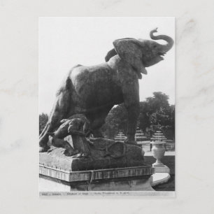 Der junge Elefant fing in einer Falle Postkarte