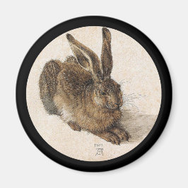 Der junge Hase Magnet