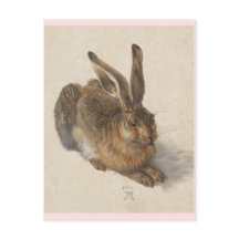 Der junge Hase