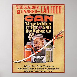 Der Kaiser ist eingesperrt ~ Vintager Weltkrieg 1. Poster