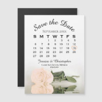 Der Kalender der Rose mit bleibendem Pfirsich spei
