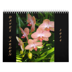 Der Kalender des Dave's Garden Foto Contest 2024