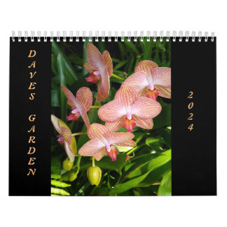 Der Kalender des Dave's Garden Foto Contest 2024