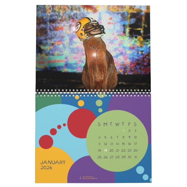 Der Kalender für Abessinier 2013 (Jan 2026)