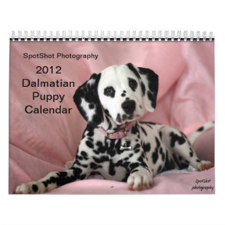 Der Kalender SpotShot Fotografie 2012