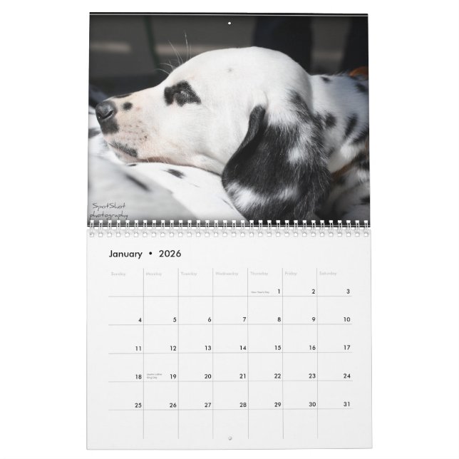 Der Kalender SpotShot Fotografie 2012 (Jan 2026)