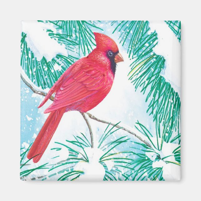 Der Kardinal - Magnet (Vorne)