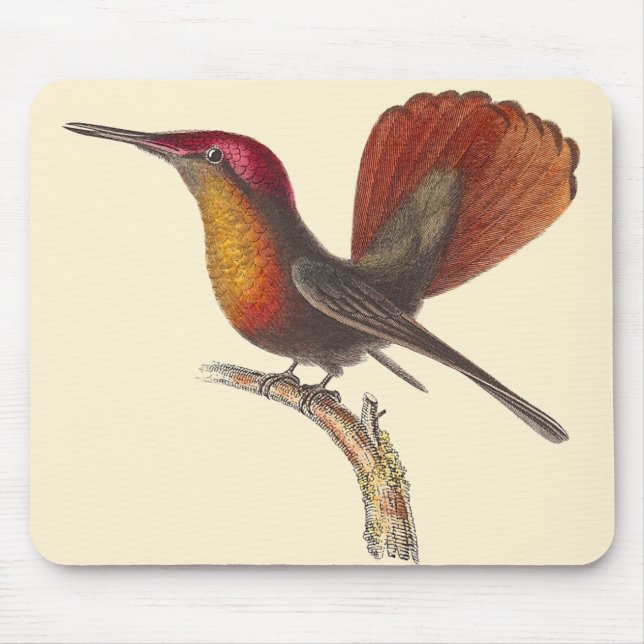 Der karminrote Topaz-Kolibri - Lektion Rene Mousepad (Vorne)
