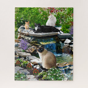 "Der Katze-Wellness-Center"