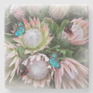 Der King Protea Steinuntersetzer