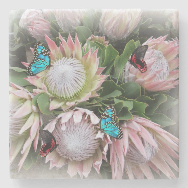 Der King Protea Steinuntersetzer (Vorderseite)