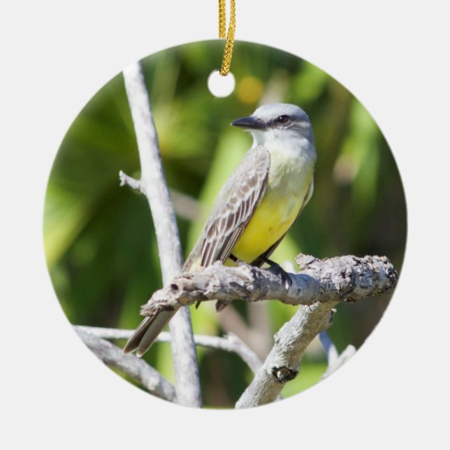 Der Kingbird der Couch des Yucatan Keramik Ornament (Vorne)