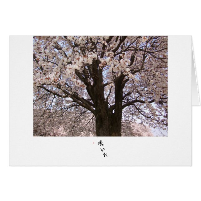 Der Kirschbaum in Japan 1 (Vorderseite (Horizontal))