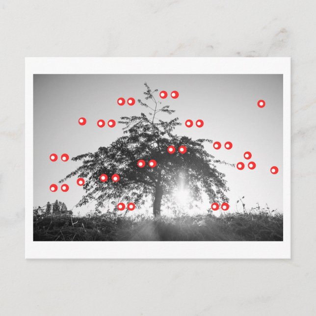 Der Kirschbaum Postkarte (Vorderseite)